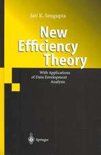 New Efficiency Theory