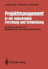 Projektmanagement in der industriellen Forschung und Entwicklung: Einführung anhand von Beispielen aus der Informationstechnik