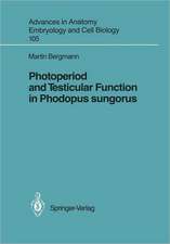 Photoperiod and Testicular Function in Phodopus sungorus