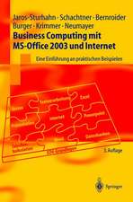 Business Computing mit MS-Office 2003 und Internet: Eine Einführung an praktischen Beispielen