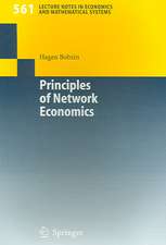 Principles of Network Economics