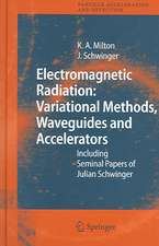 Electromagnetic Radiation: Variational Methods, Waveguides and Accelerators