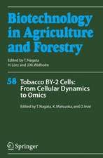 Tobacco BY-2 Cells: From Cellular Dynamics to Omics