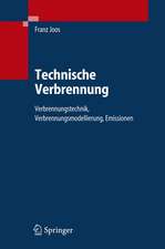 Technische Verbrennung: Verbrennungstechnik, Verbrennungsmodellierung, Emissionen