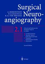 Surgical Neuroangiography: Vol.2: Clinical and Endovascular Treatment Aspects in Adults