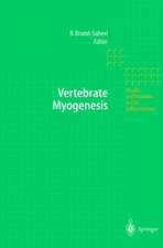 Vertebrate Myogenesis