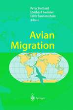 Avian Migration