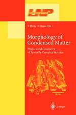 Morphology of Condensed Matter: Physics and Geometry of Spatially Complex Systems