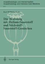 Die Beatmung mit Helium-Sauerstoff und Stickstoff-Sauerstoff-Gemischen