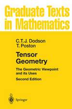 Tensor Geometry: The Geometric Viewpoint and its Uses