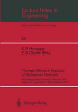 Thermal Effects in Fracture of Multiphase Materials: Proceedings of the Euromech Colloquium 255 October 31–November 2, 1989, Paderborn, FRG