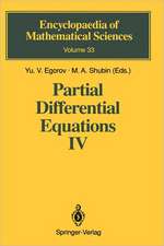 Partial Differential Equations IV: Microlocal Analysis and Hyperbolic Equations