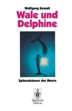 Wale und Delphine: Spitzenkönner der Meere