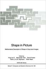 Shape in Picture: Mathematical Description of Shape in Grey-level Images