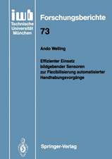 Effizienter Einsatz bildgebender Sensoren zur Flexibilisierung automatisierter Handhabungsvorgänge