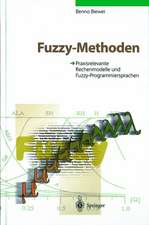 Fuzzy-Methoden: Praxisrelevante Rechenmodelle und Fuzzy-Programmiersprachen