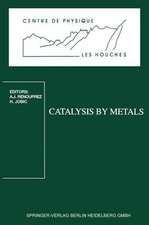 Catalysis by Metals