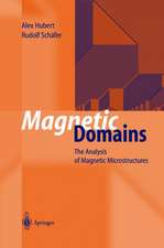 Magnetic Domains