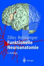 Funktionelle Neuroanatomie