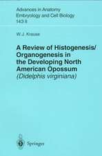 A Review of Histogenesis/Organogenesis in the Developing North American Opossum (Didelphis virginiana)