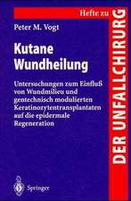 Kutane Wundheilung: Untersuchungen zum Einfluß von Wundmilieu und gentechnisch modulierten Keratinozytentransplantanten auf die epidermale Regeneration