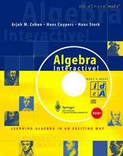 Algebra Interactive!: Learning Algebra in an Exciting Way