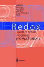 Redox: Fundamentals, Processes and Applications