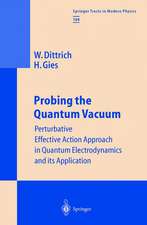 Probing the Quantum Vacuum: Perturbative Effective Action Approach in Quantum Electrodynamics and its Application