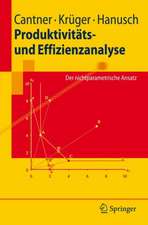 Produktivitäts- und Effizienzanalyse: Der nichtparametrische Ansatz