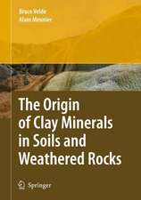 The Origin of Clay Minerals in Soils and Weathered Rocks