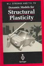 Dynamic Models for Structural Plasticity