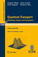 Quantum Transport