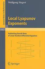 Local Lyapunov Exponents: Sublimiting Growth Rates of Linear Random Differential Equations