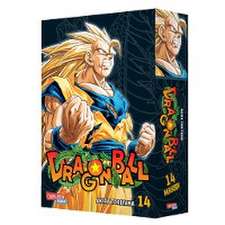 Dragon Ball Massiv 14