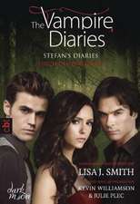 The Vampire Diaries 06 - Stefan's Diaries - Fluch der Finsternis