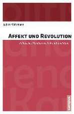 Affekt und Revolution