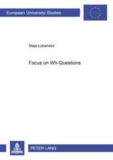 Focus on Wh-Questions