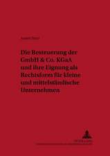 Die Besteuerung Der Gmbh & Co. Kgaa Und Ihre Eignung ALS Rechtsform Fuer Kleine Und Mittelstaendische Unternehmen