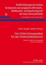 Das Dritte Energiepaket Fuer Den Elektrizitaetsbereich: Deutsch-Englische Textausgabe Mit Einer Einfuehrung