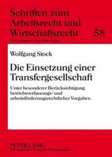 Die Einsetzung Einer Transfergesellschaft: Unter Besonderer Beruecksichtigung Betriebsverfassungs- Und Arbeitsfoerderungsrechtlicher Vorgaben