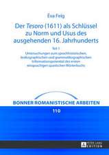 Der Tesoro (1611) ALS Schluessel Zu Norm Und Usus Des Ausgehenden 16. Jahrhunderts: Untersuchungen Zum Sprachhistorischen, Lexikographischen Und Gramm