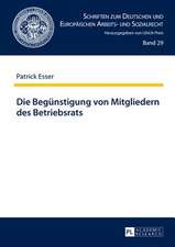 Die Beguenstigung Von Mitgliedern Des Betriebsrats: Excess, Intemperance and Overabundance Across Cultures and Literatures