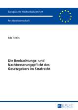 Die Beobachtungs- Und Nachbesserungspflicht Des Gesetzgebers Im Strafrecht