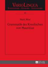 Grammatik Des Kreolischen Von Mauritius: Discussed from a Functional Perspective