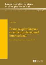 Pratiques Plurilingues En Milieu Professionnel International