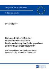 Haftung Der Geschaeftsleiter Insolventer Gesellschaften Fuer Die Verletzung Der Zahlungsverbote Und Der Insolvenzantragspflicht