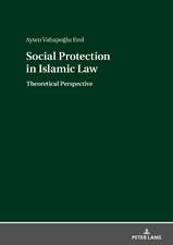 Social Protection in Islamic Law