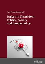 Politics and Society in Contemporary Turkey