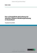 Eine wirtschaftliche Betrachtung der aktuellen Offshore-Windenergienutzung in Deutschland