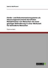 Förder- und Dokumentationssysteme als Steuerungsinstrumente beruflicher Rehabilitation von Menschen mit einer geistigen Behinderung in einer Werkstatt für behinderte Menschen